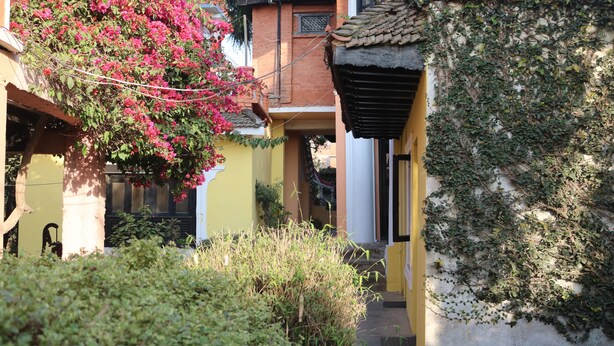 A courtyard with a yellow building, a tree with pink flowers, and a wall covered in greenery. - Krishna House (Bhaktapur)