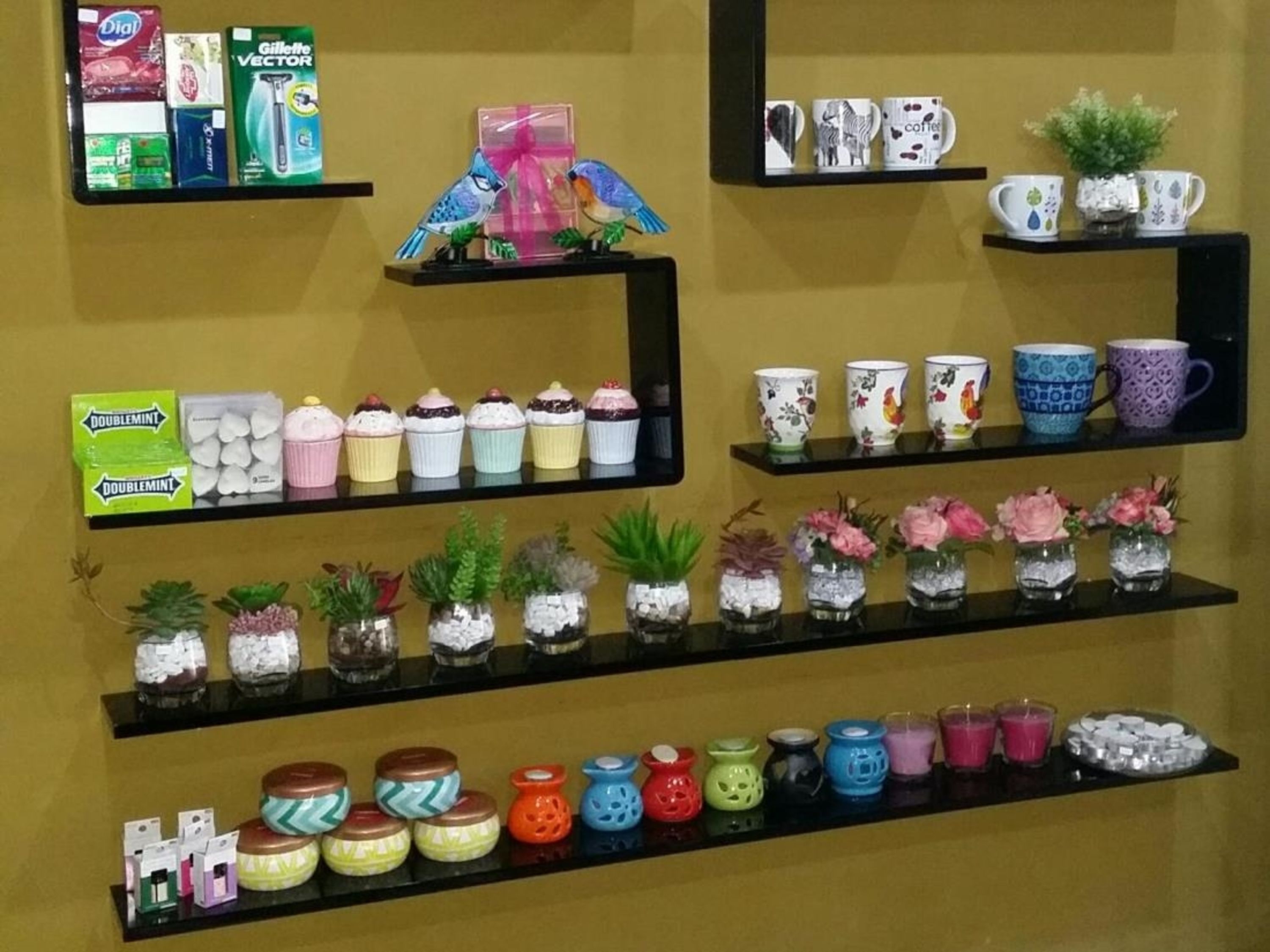 Una exhibición de diversos productos en estantes, incluyendo artículos de tocador, elementos decorativos y pequeños recipientes.