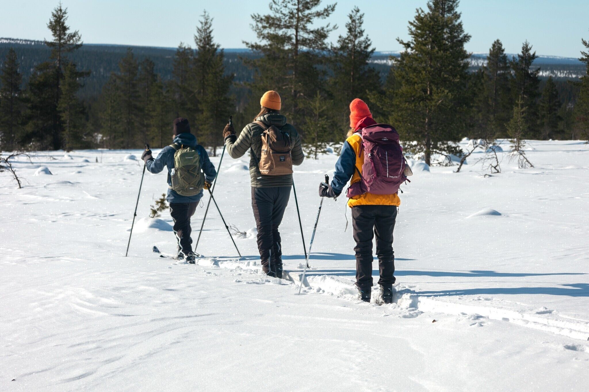 Three people cross-country skiing in a snowy landscape with trees in the background.