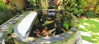 Ben's Homestay