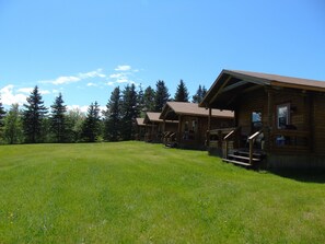 A row of log cabins with a grassy field in front, surrounded by tall trees. - Cajun Cedar Log Cottages (Margaree Forks)