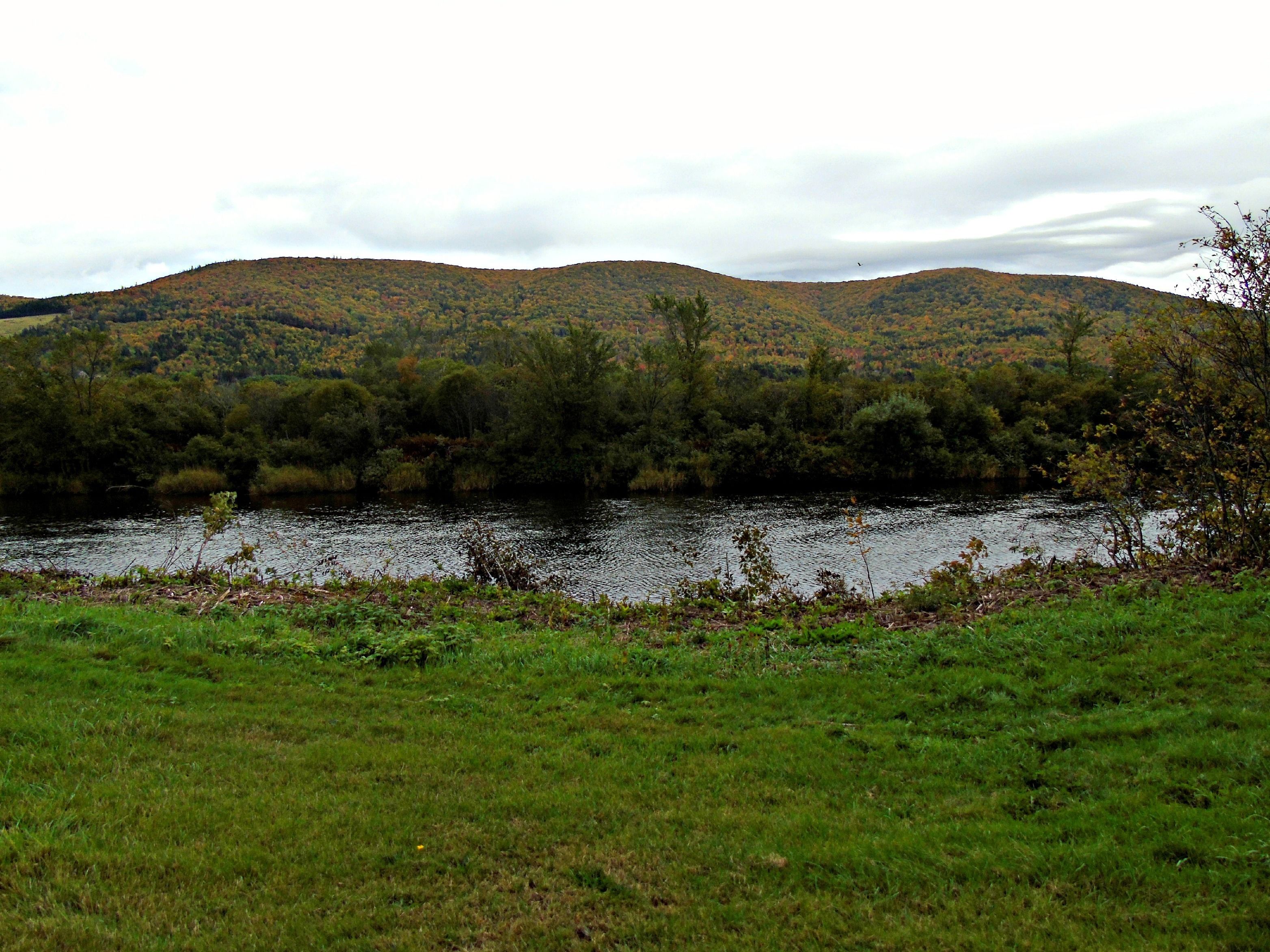 A river with hills in the background.