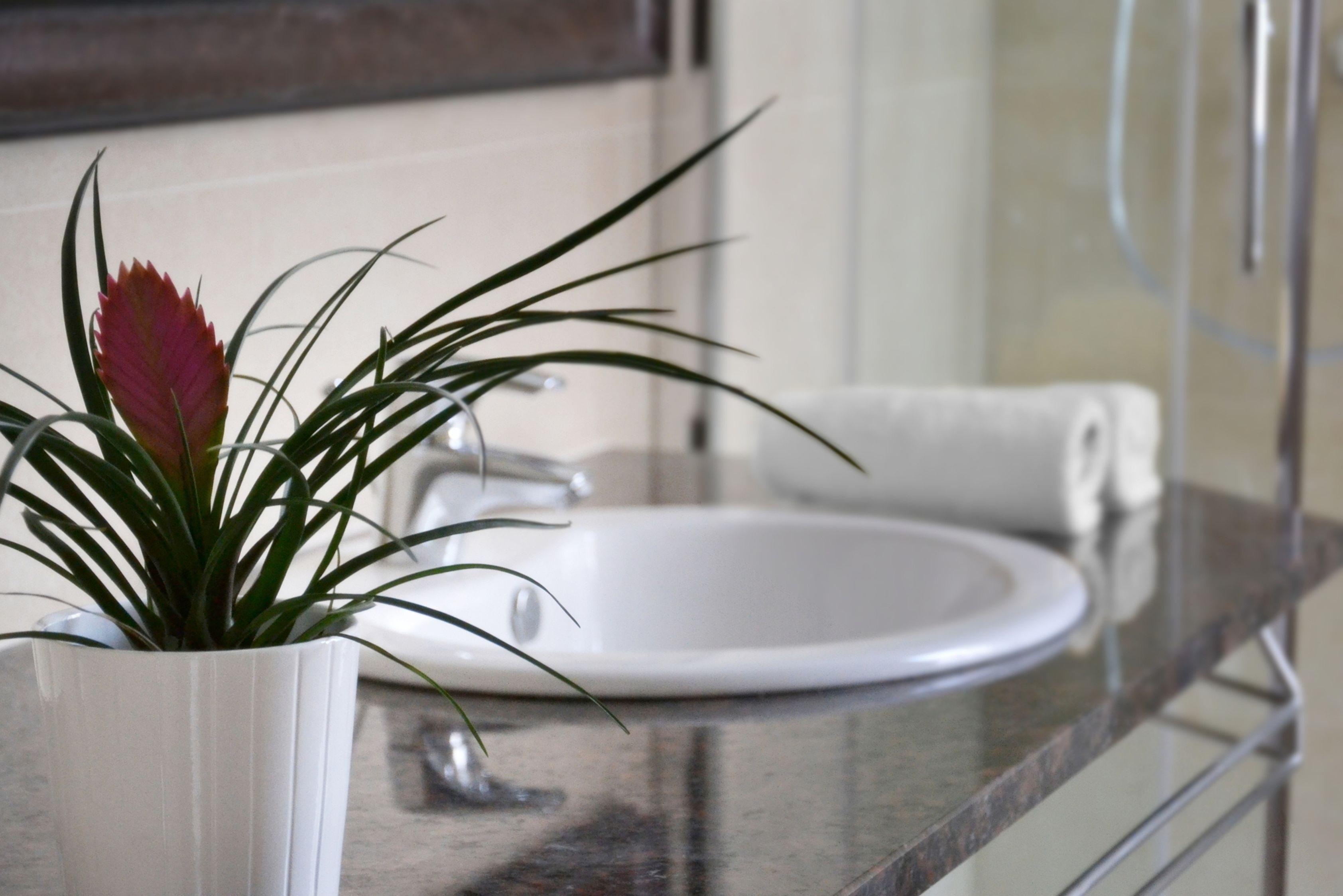 Foto - Kamienica 22 Old Town