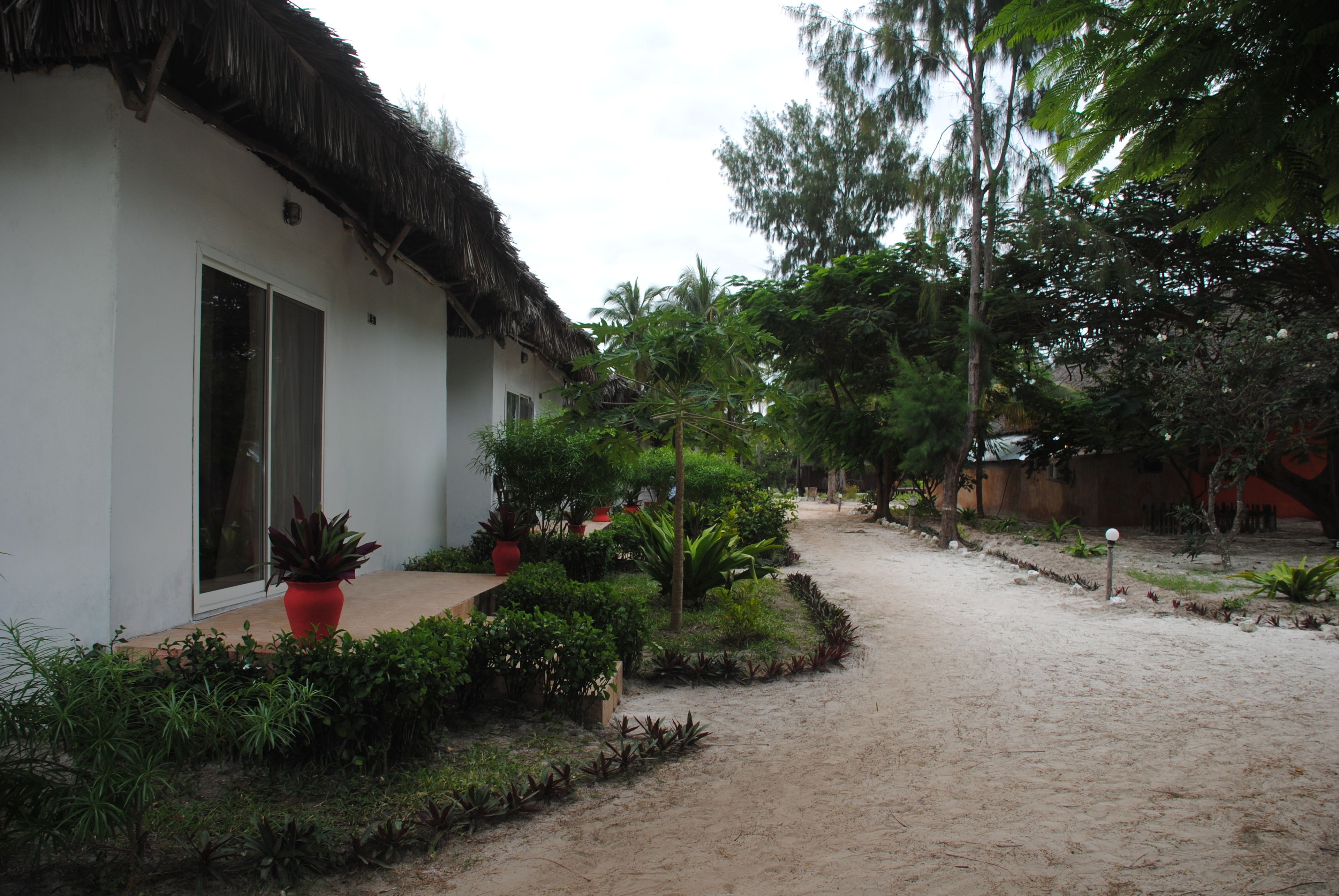 Foto - Cristal Resort