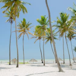 On the beach