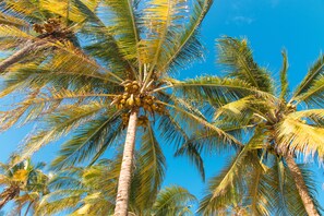 Ubicación a pie de playa