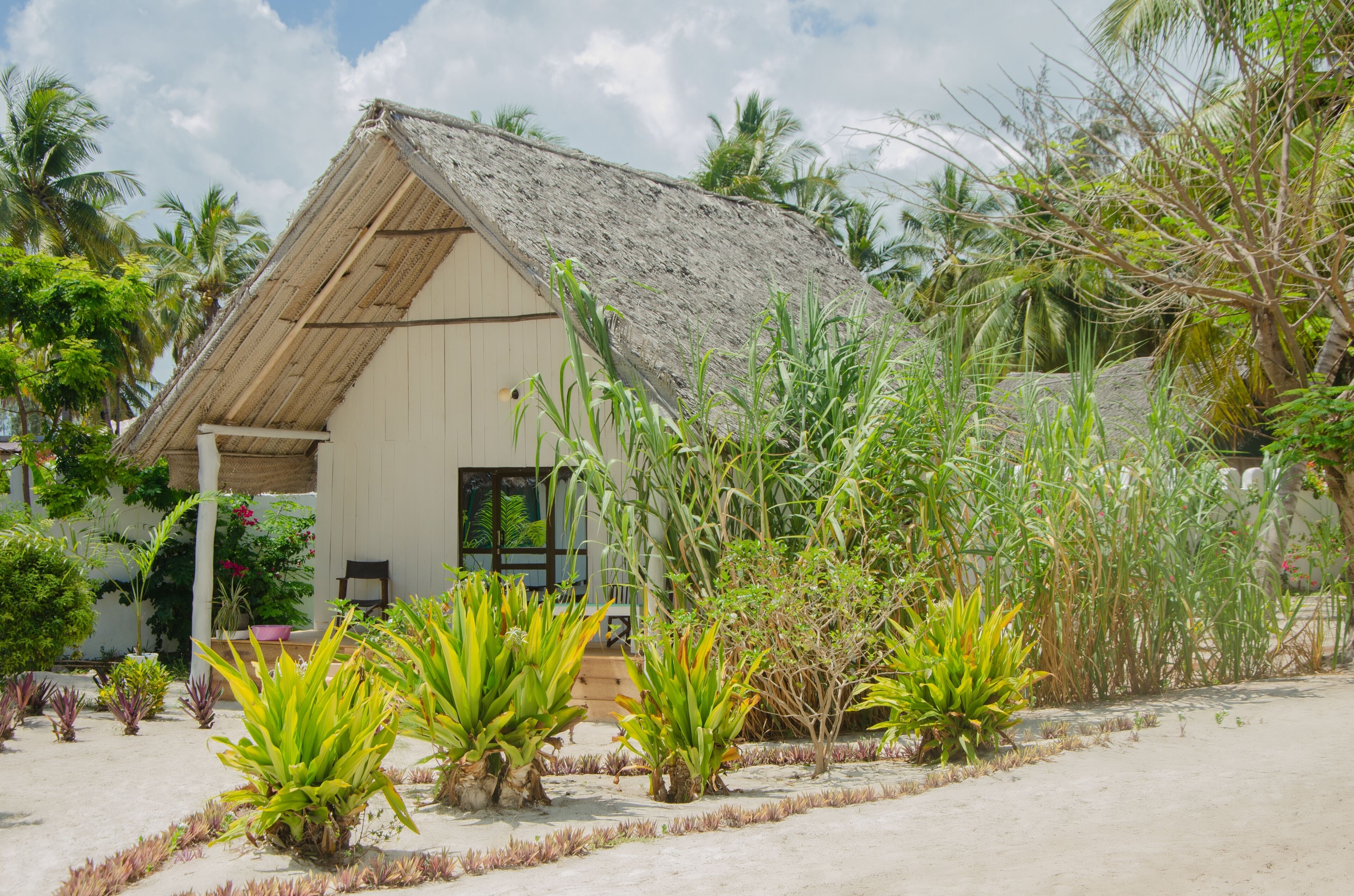 Foto - Cristal Resort