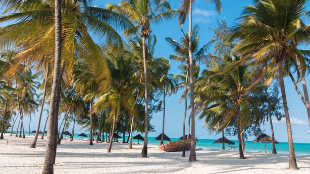 A beach with palm trees, a boat, and thatched umbrellas. - Cristal Resort (Paje)