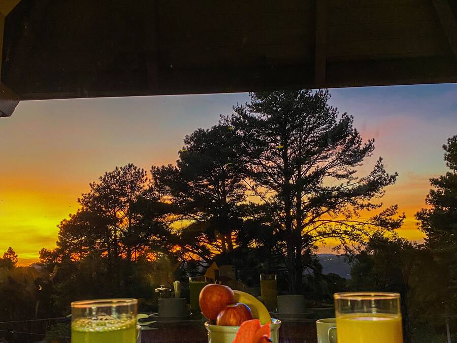 Breakfast and dinner served, international cuisine