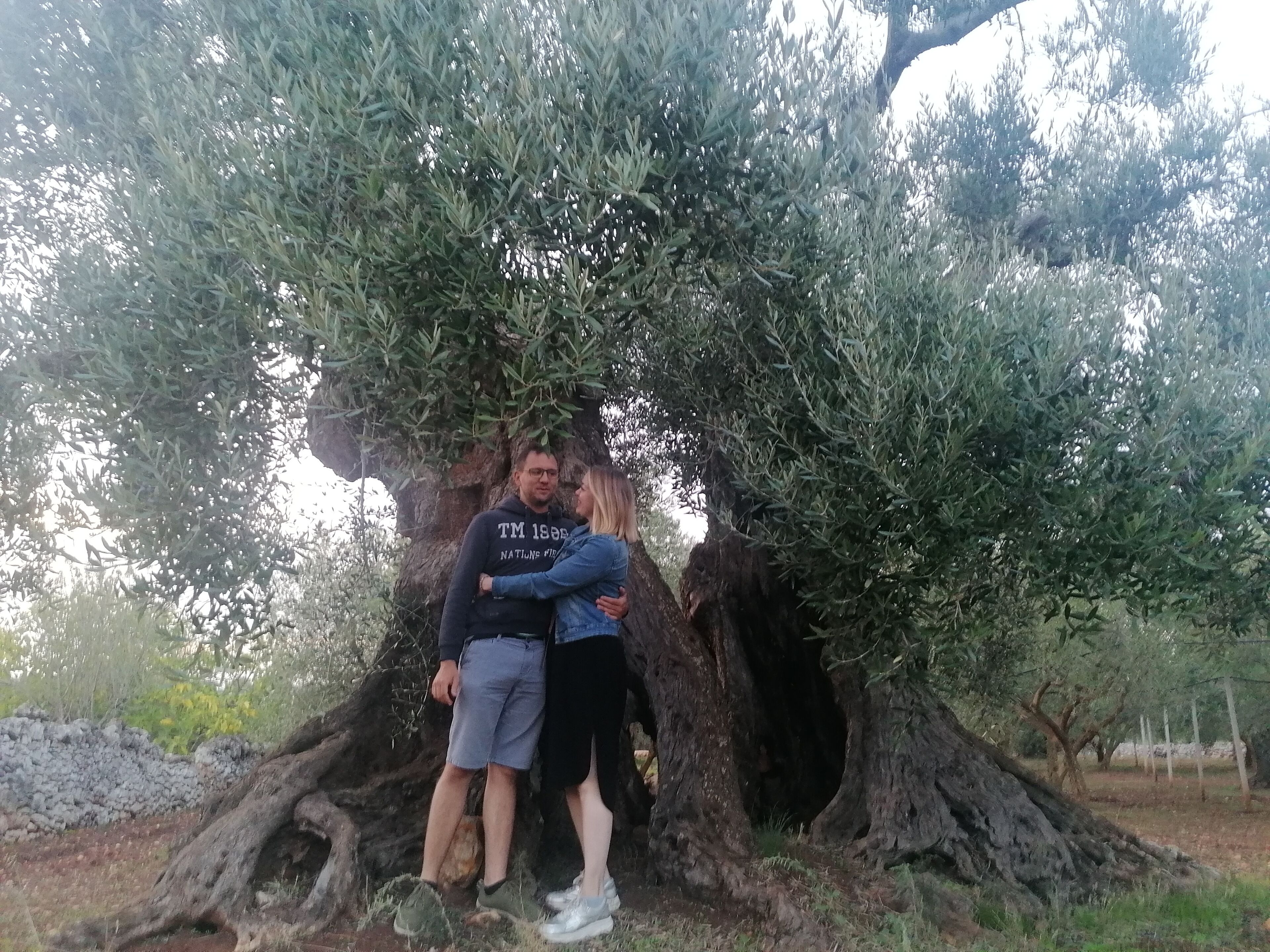 Foto - Agriturismo Salinola