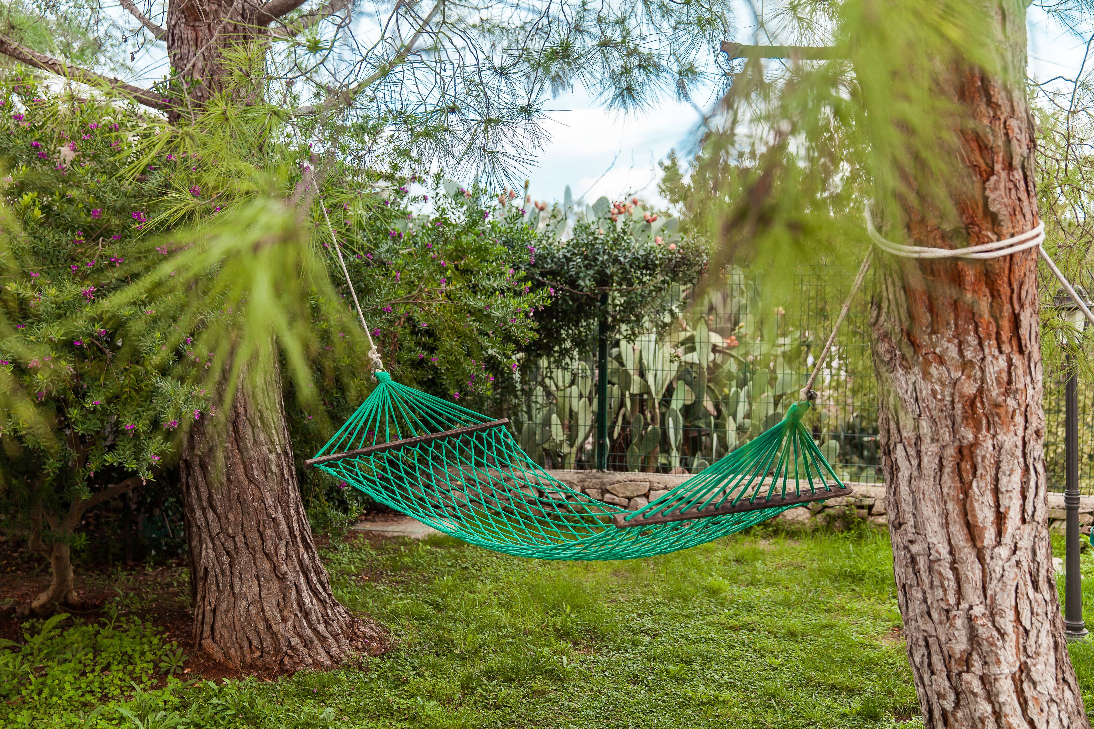 Una hamaca colgada entre dos árboles en un jardín.