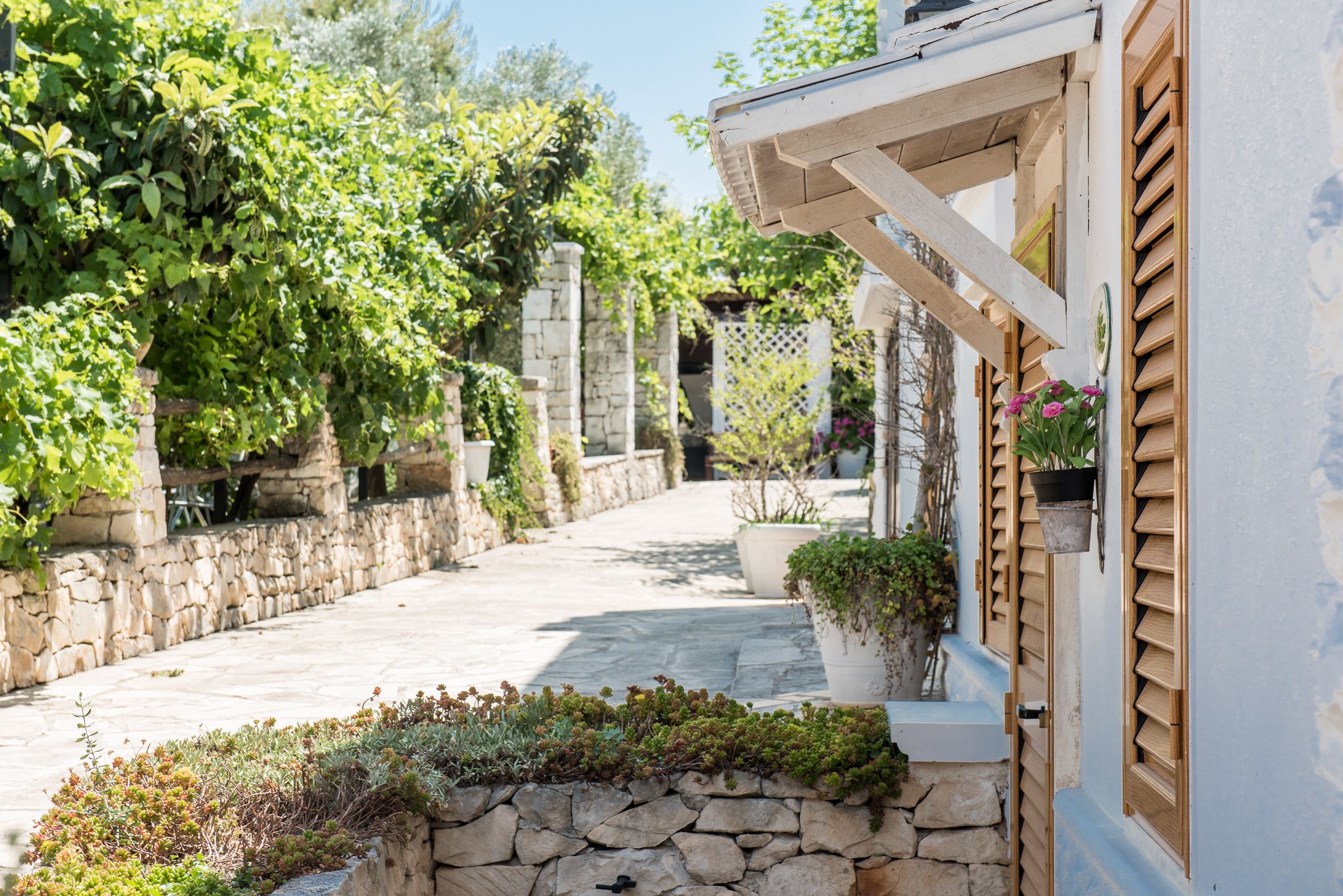 Foto - Agriturismo Salinola