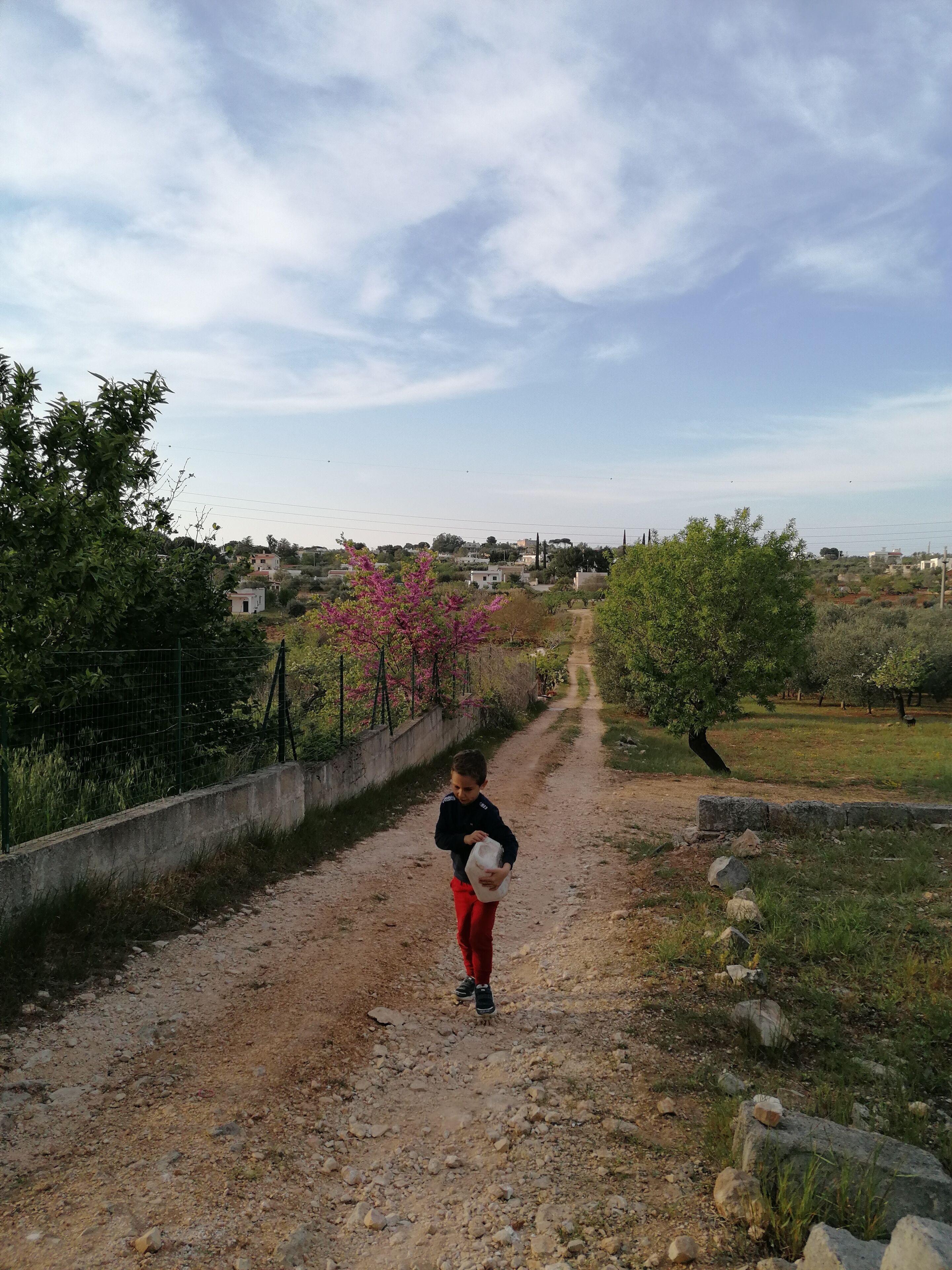 Foto - Agriturismo Salinola