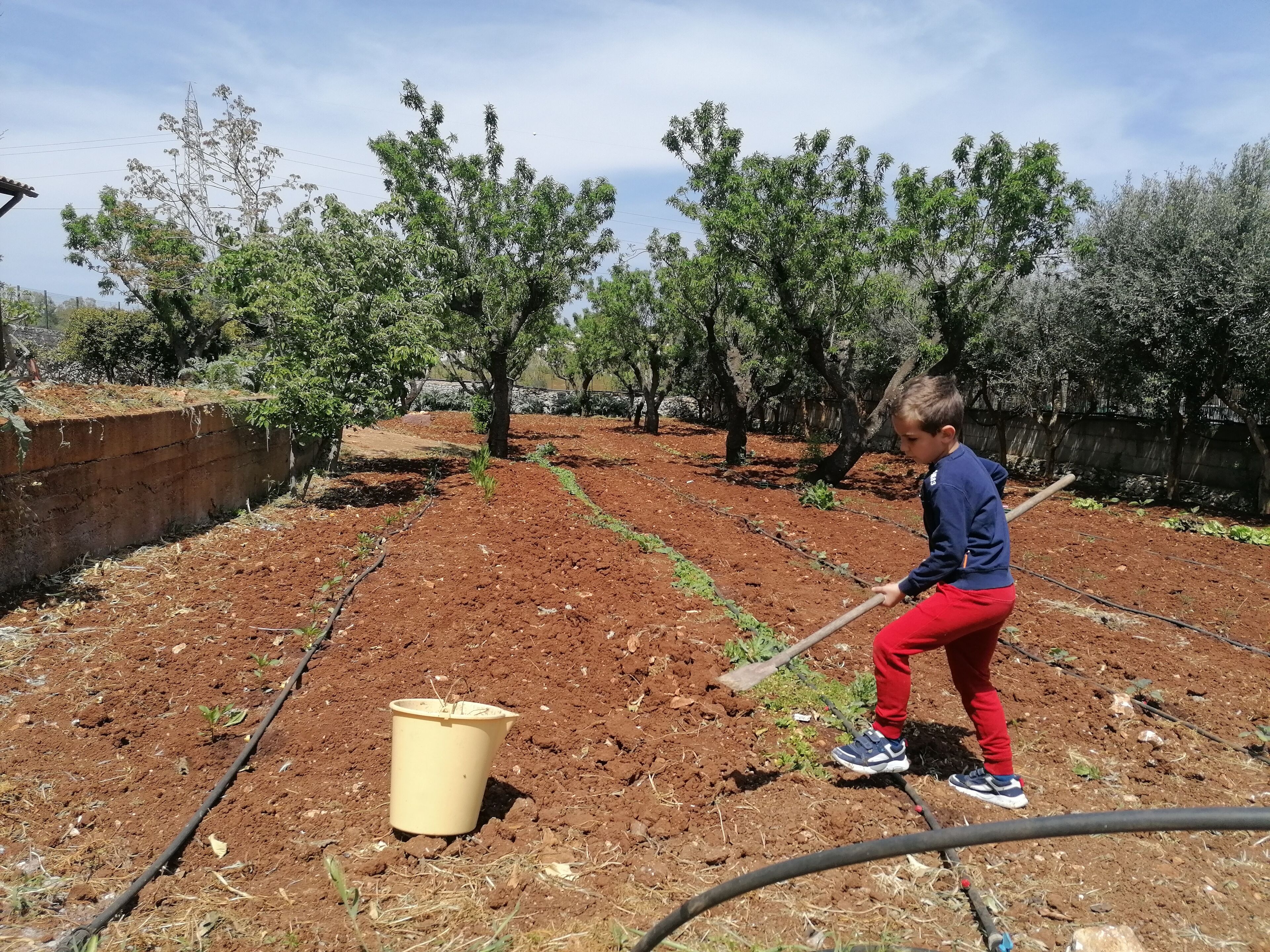 Foto - Agriturismo Salinola