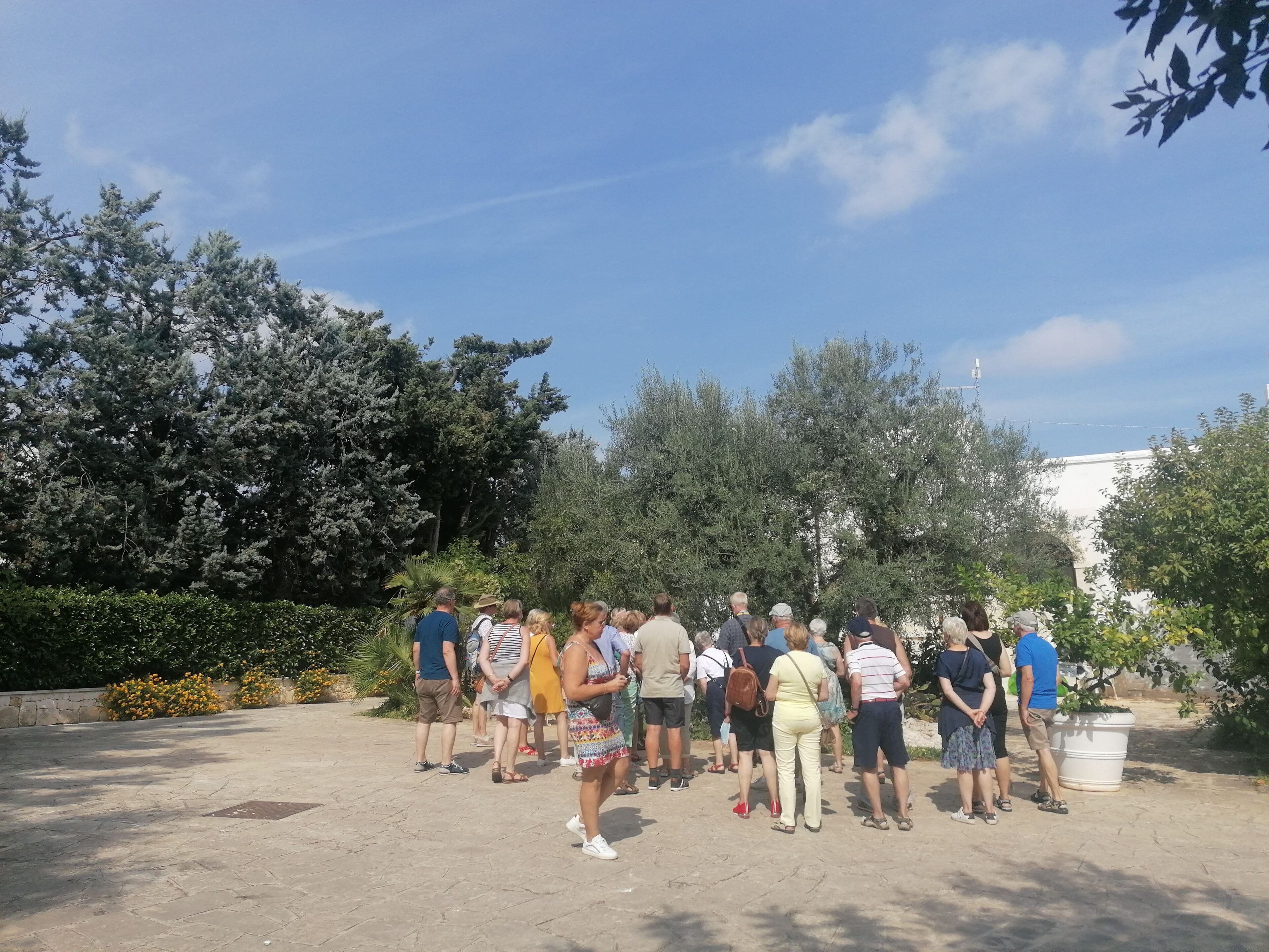 Foto - Agriturismo Salinola