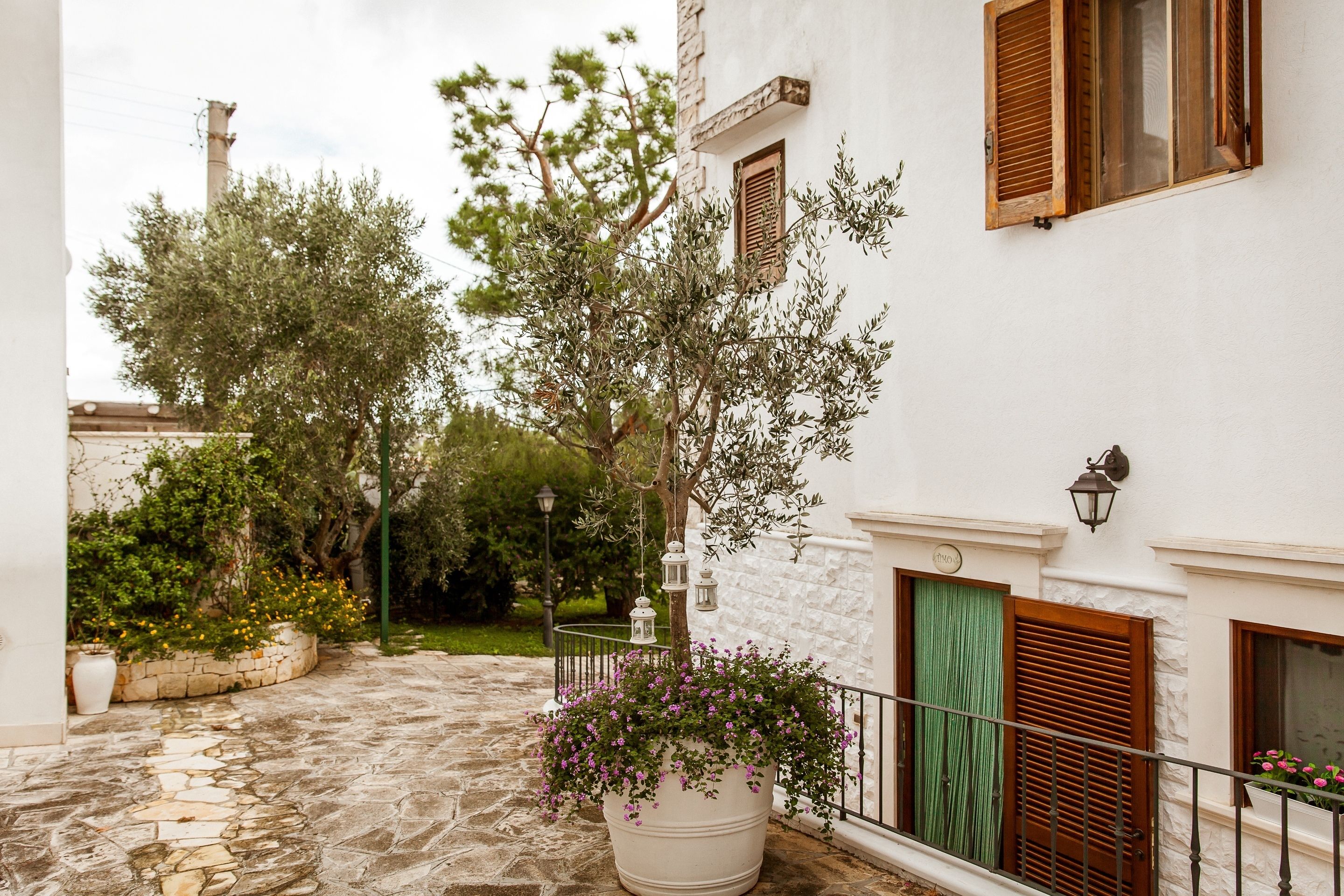 Un patio con un sendero de piedra, una planta grande en maceta con flores y un edificio blanco con persianas de madera.