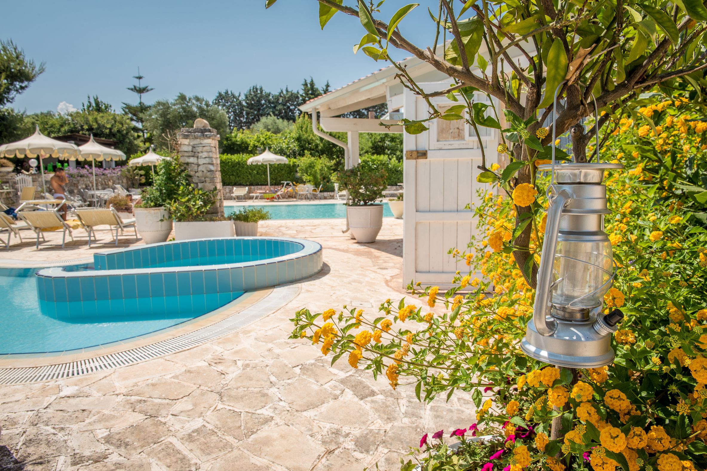 Foto - Agriturismo Salinola