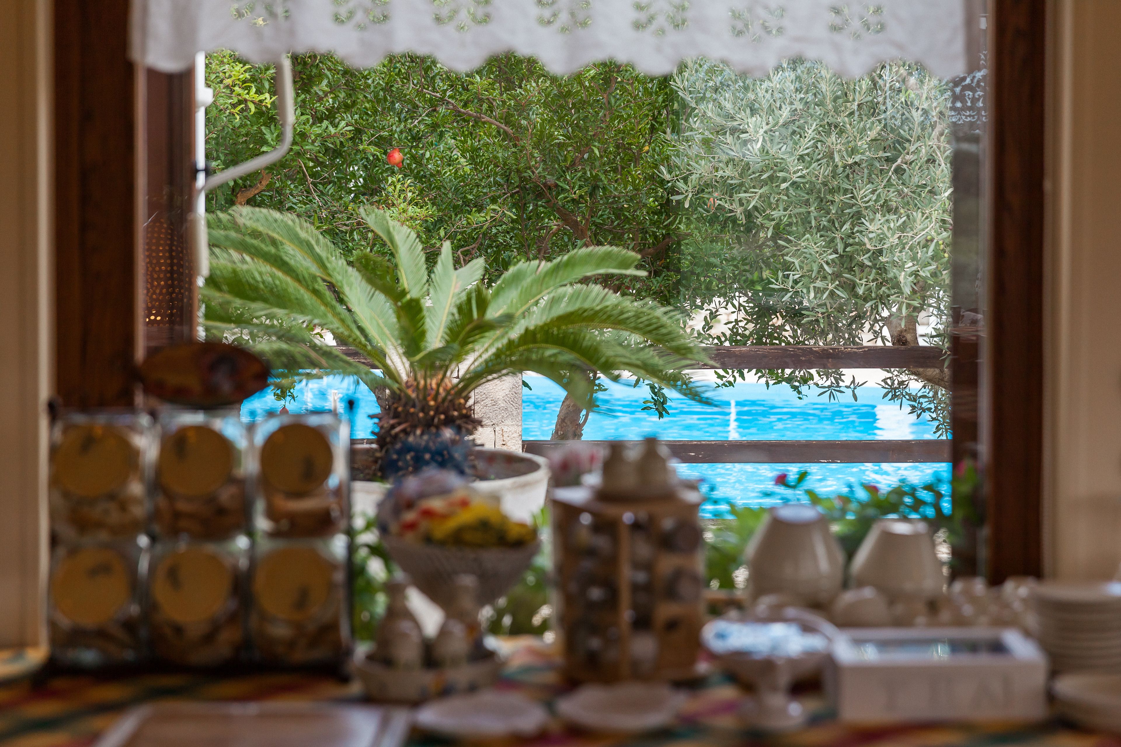 A table with various dishes and a potted plant, overlooking a pool and greenery.