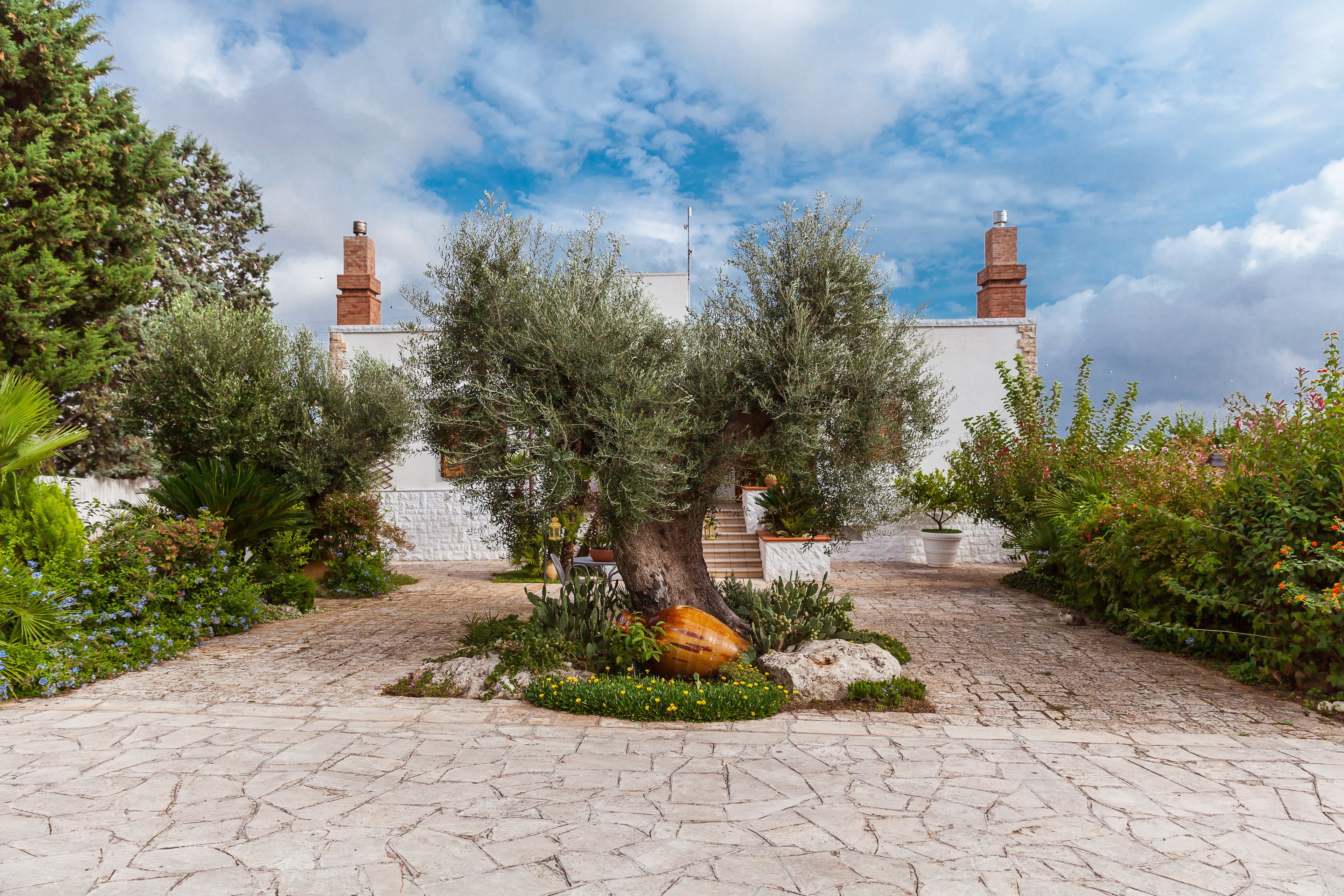 A courtyard with a stone pathway, a large tree, and a building with chimneys.