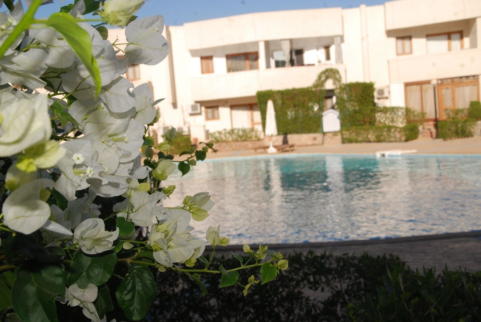 4 개의 야외 수영장