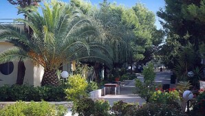 A residential street lined with lush greenery, including palm trees and various shrubs. There are houses on both sides of the street, and a small pathway leading to a gate. - Villaggio Piano Grande (Vieste)