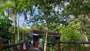 Un sendero de madera que conduce a un pequeño edificio con techo rojo, rodeado de abundante vegetación y árboles altos.