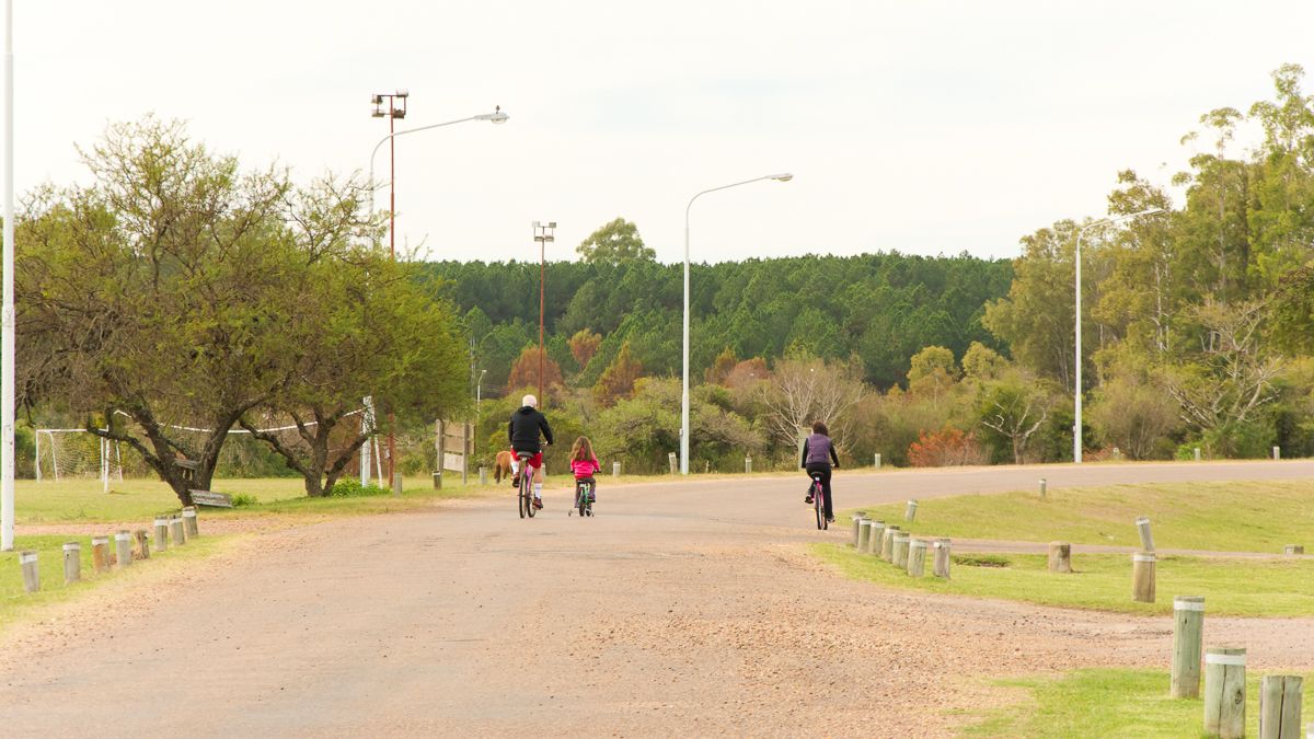 A paved path with cyclists, surrounded by trees and street lamps.