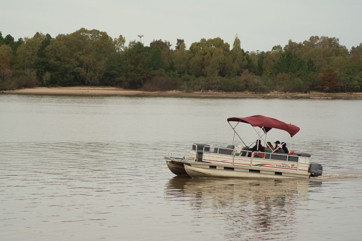 A boat with a canopy on a calm lake, surrounded by trees and a sandy shore.
