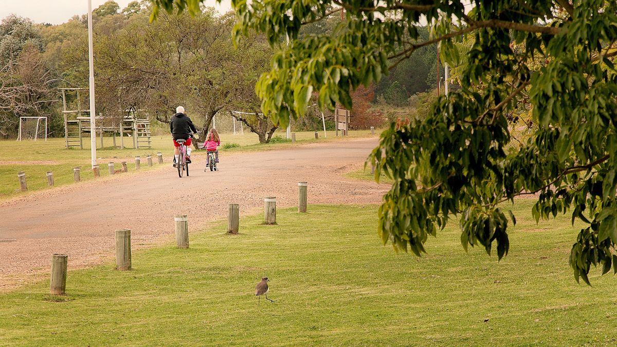 Ein befestigter Weg mit Holzbefestigungen, eine Rasenfläche und eine Person, die Fahrrad fährt.