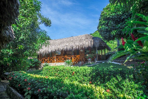 Vista desde la propiedad