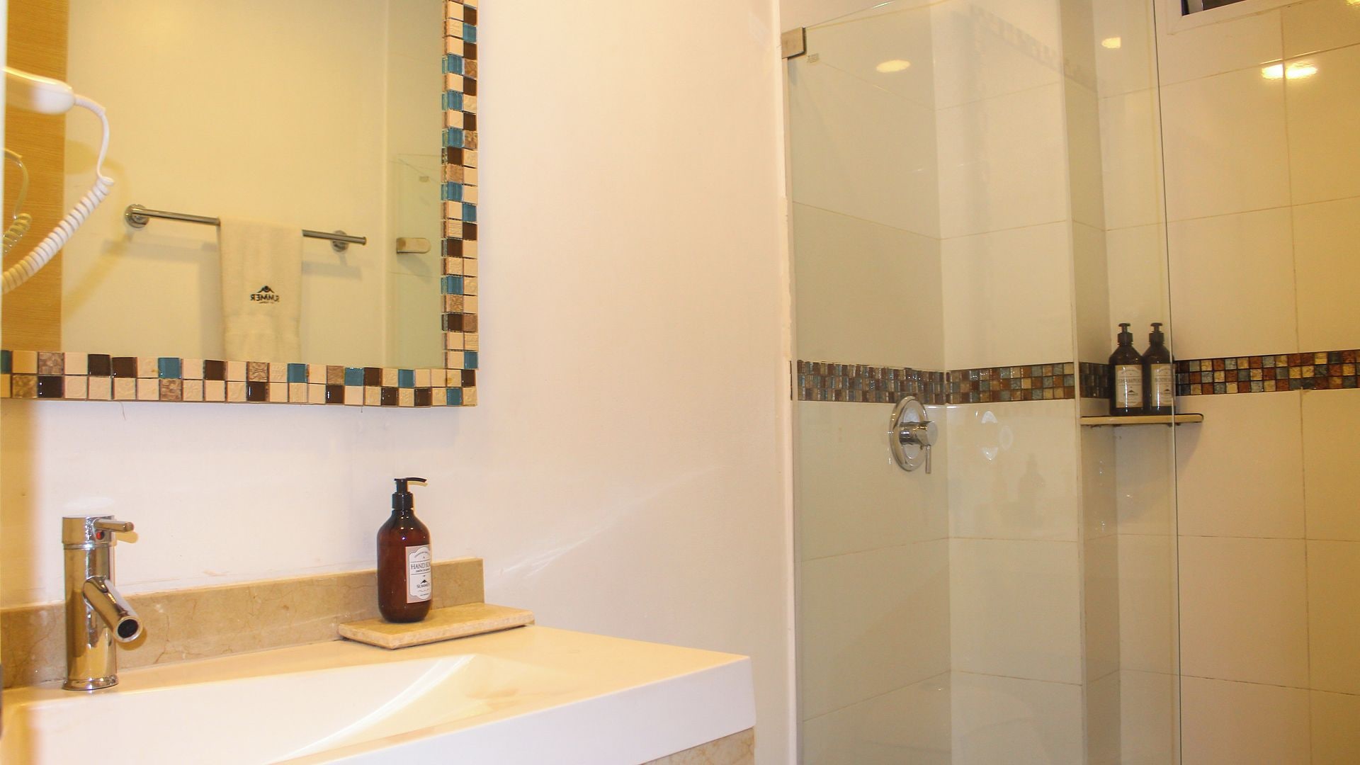 A bathroom with a sink, a mirror, a shower, and a soap dispenser.