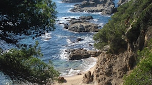 A coastal landscape with a sandy beach, rocky outcrops, and dense greenery.
