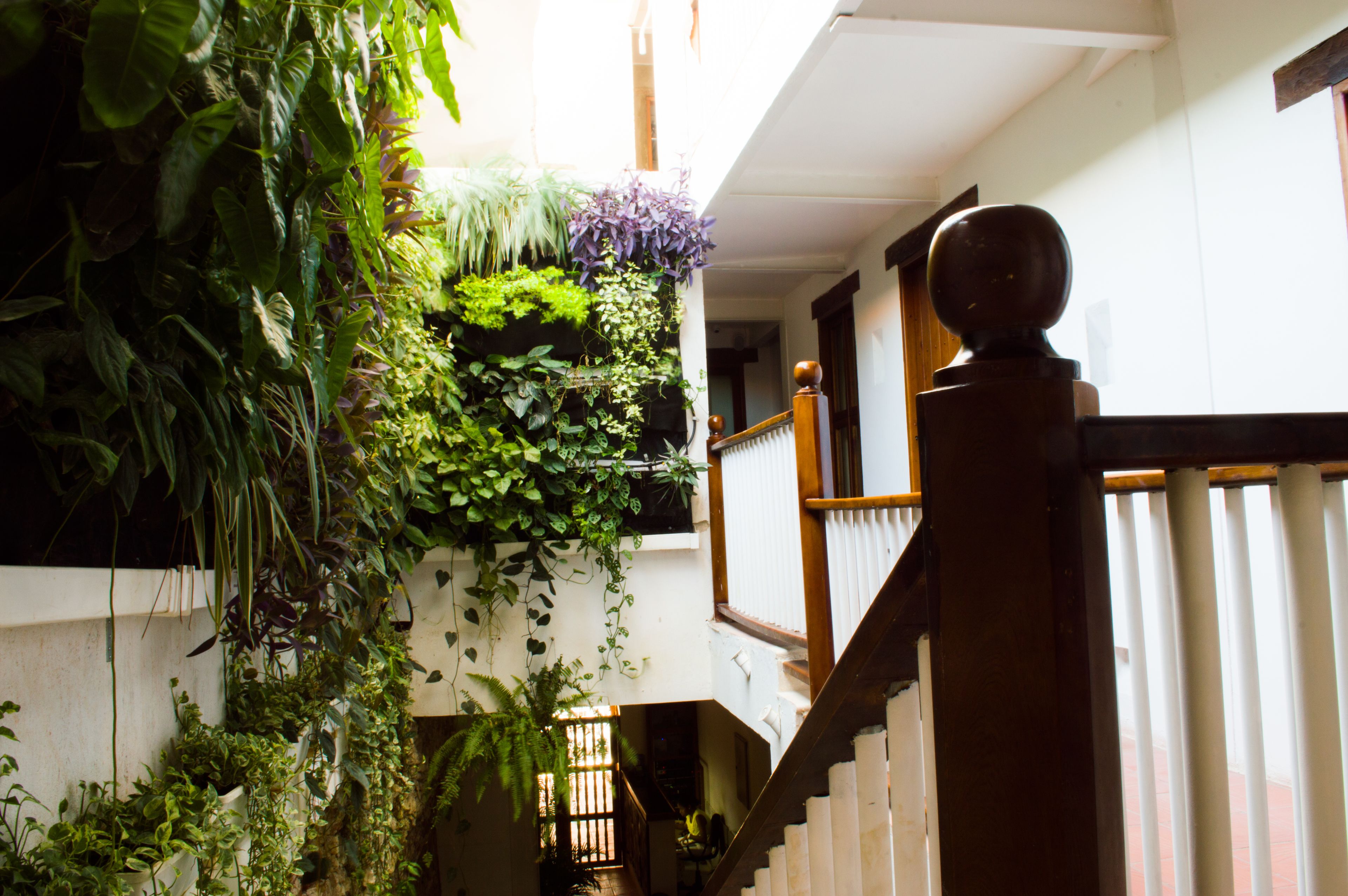 Foto - Casa Ebano 967