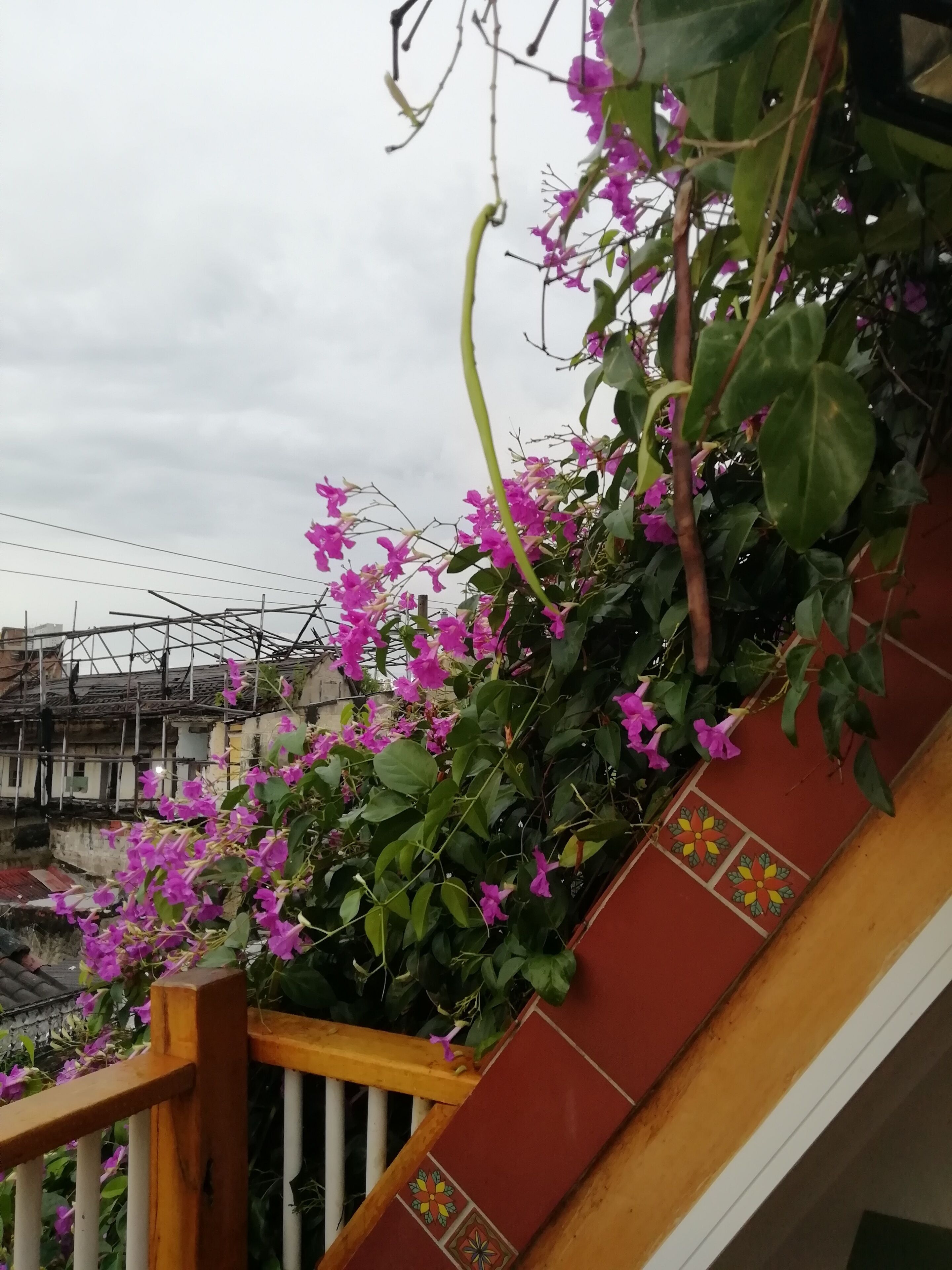 Foto - Casa Ebano 967