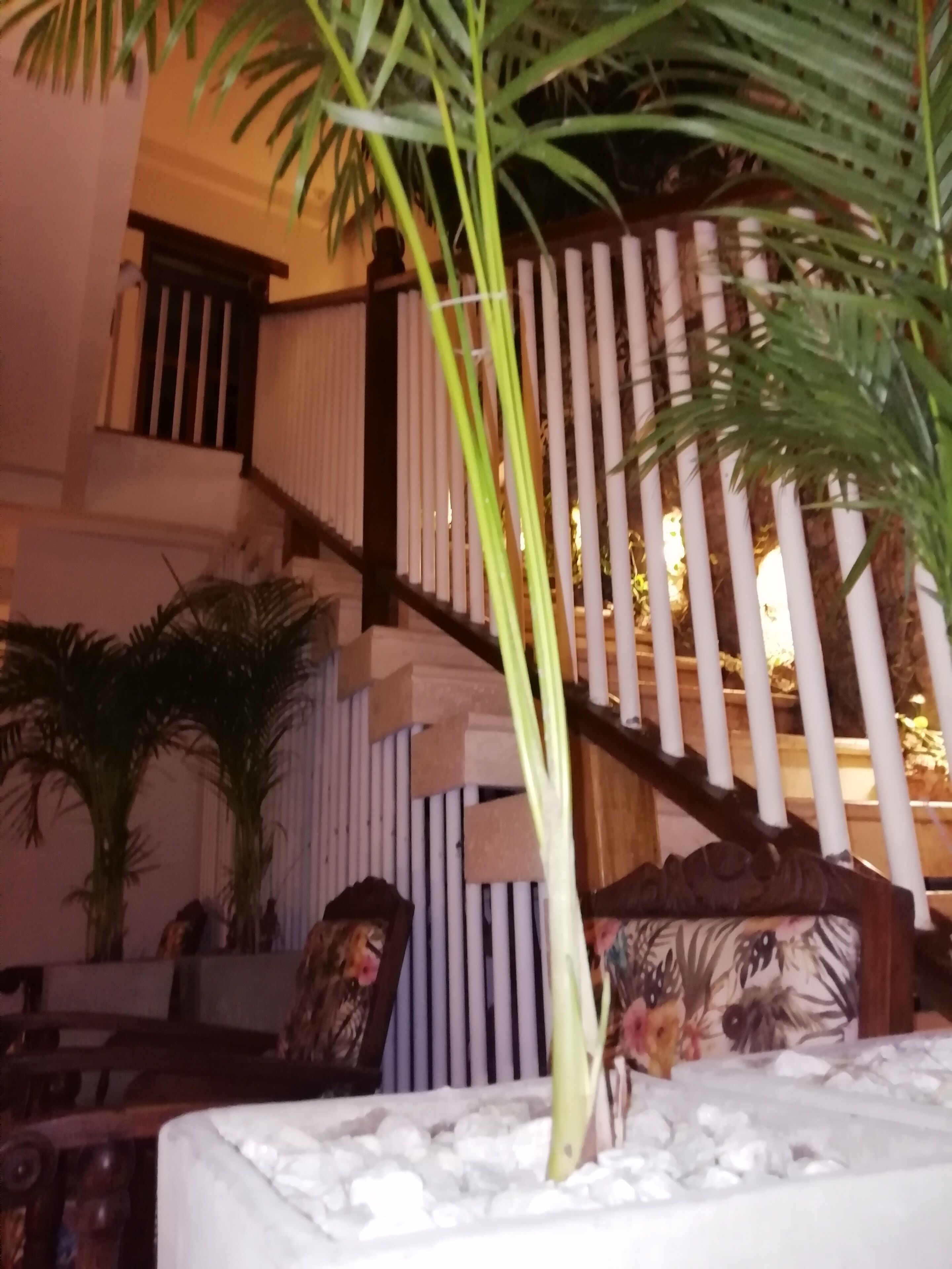 Photo - Casa Ebano 967