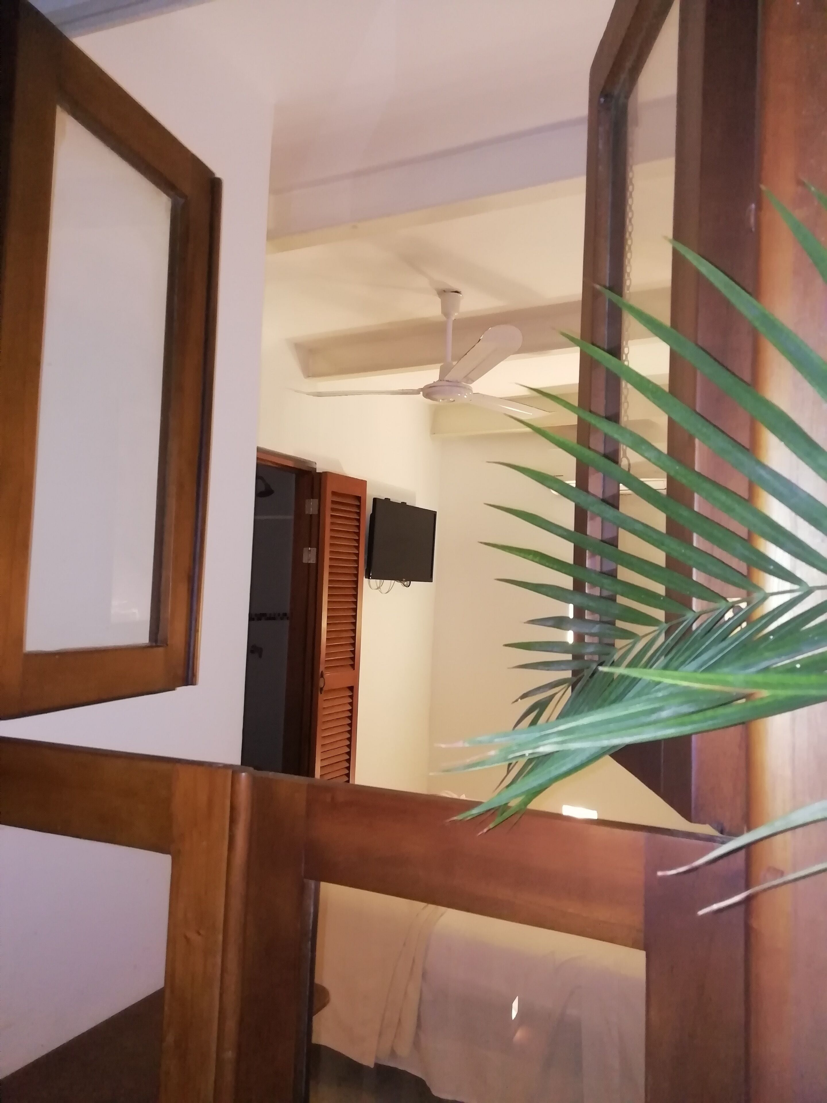 Foto - Casa Ebano 967