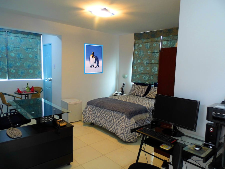 Executive Single Room, 1 Bedroom, Private Bathroom | Egyptian cotton sheets, premium bedding, down duvets