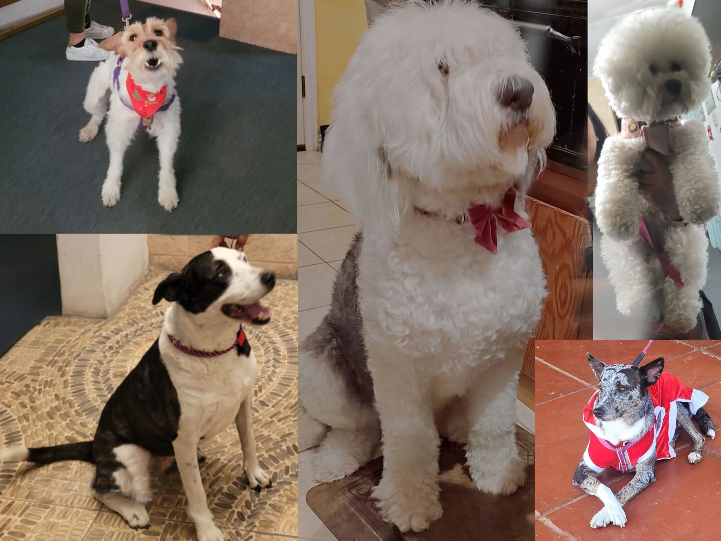 Photo - Magicperu Apart Hotel