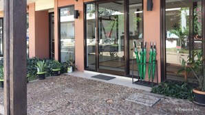 Fachada de un edificio con puertas de vidrio, plantas en macetas y un patio con suelo de piedra.