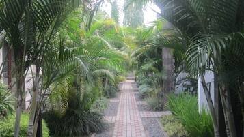 Taman