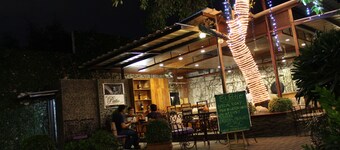 The Purple Tree Bed & Breakfast