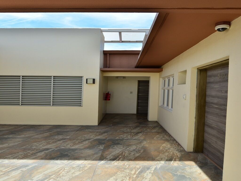 Studio Supérieur, niveau Exécutif | Terrasse/Patio