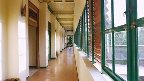 A corridor with wooden flooring and green-framed windows. - SARE Suites (Jakarta)