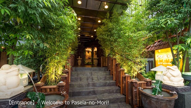 A staircase surrounded by lush greenery and traditional decor, leading to an interior space. - Pasela no Mori Yokohama Kannai (Yokohama)