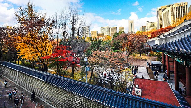 Ein traditionelles koreanisches Gebäude mit einem Ziegeldach, umgeben von Herbstlaub und im Hintergrund modernen Hochhäusern.
