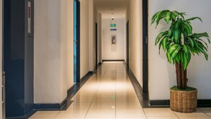 Un couloir propre et bien éclairé, avec un sol carrelé, une plante en pot et des portes donnant sur différentes pièces.