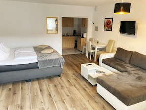 Studio Apartment (incl. 50 Euro Cleaning Fee) | Fasilitas kamar