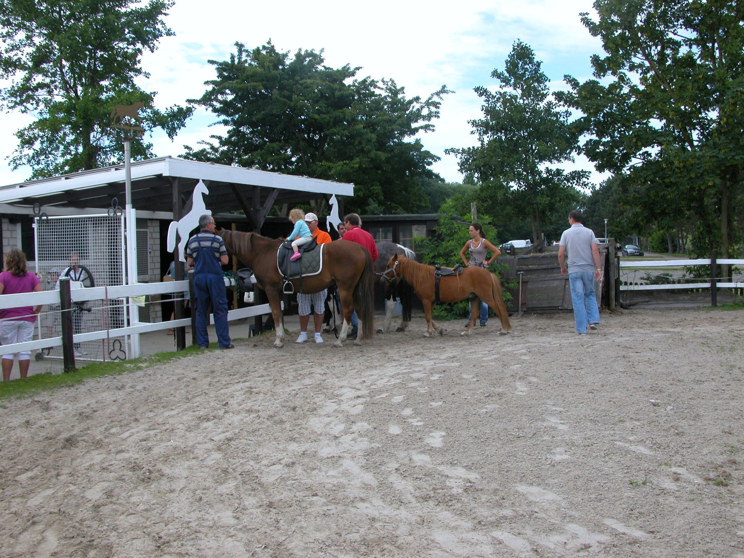 A stable with horses and people around.