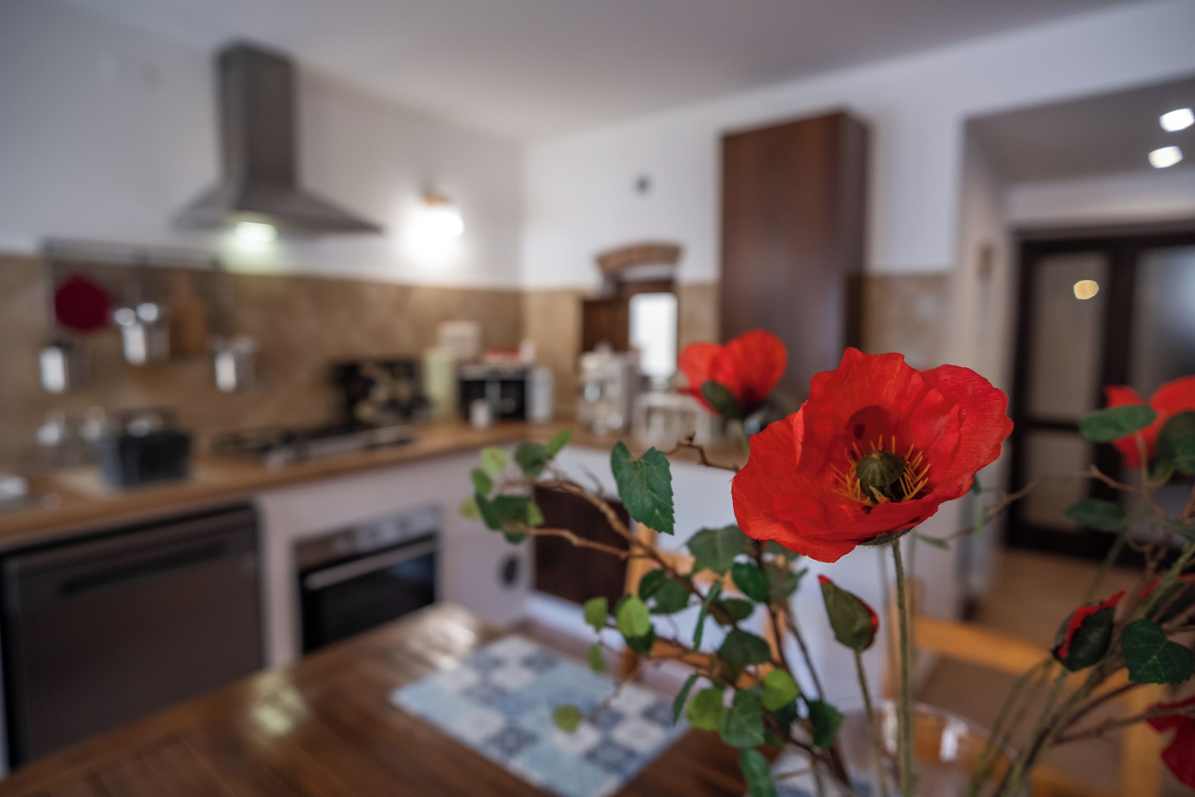 24-英寸液晶电视（配备数码频道）、电视、DVD 播放器