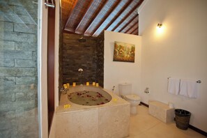 Separate tub and shower, free toiletries, hair dryer, bathrobes